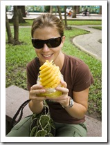 Pineapple time in Cong Vien Van Hoa Park