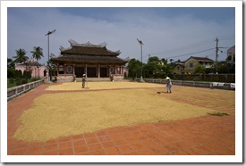 Rice farmers drying rice in front of the Confucius Temple