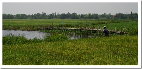 A fisherman on the edge of the rice paddies in the countryside north of Hoi An