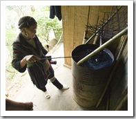 Mi showing us how the H'Mong people dye their hemp clothing its indigo color