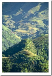 Rice paddies across the valley from Sapa