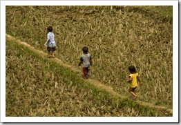 Young children exploring the rice paddies near Ta Van Village