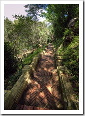 The more than 300 steps through the lush rainforest up to That Chomsi