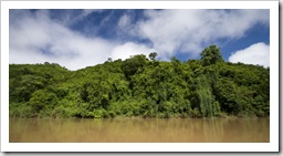 The dense jungle on the banks of the Nam Khan River