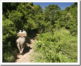 Riding through the Laos jungle