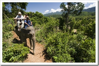 Riding through the Laos jungle