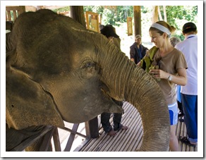 Lisa feeding Mai San some bananas