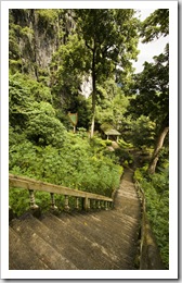 Almost vertical steps into Thamchang Cave