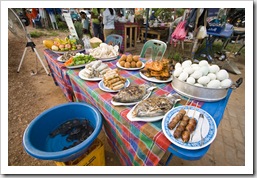 Some of the foods on offer at the stalls alongside the Mekong (those are live frogs in the blue bucket)