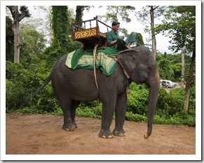 One way to see some of the Angkor temples