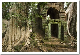 Ta Prohm: the jungle temple