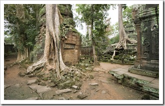 Ta Prohm: the jungle temple