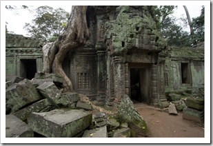 Ta Prohm: the jungle temple