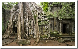 Ta Prohm: the jungle temple