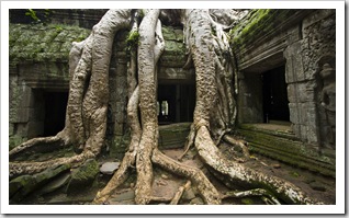 Ta Prohm: the jungle temple