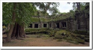 Ta Prohm: the jungle temple