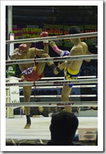 Muay Thai fighting at Lumphini Stadium