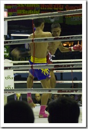 Muay Thai fighting at Lumphini Stadium