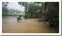 A torrential downpour we escaped in a roadside eatery (which happened to have the best BBQ chicken Lisa tried anywhere in Southeast Asia)