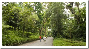 The Singapore Zoo: Lisa walking between exhibits