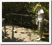 The Singapore Zoo: Lisa being followed by an Iguana in one of the free-ranging reptile exhibits