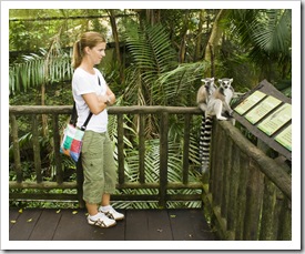 The Singapore Zoo: Lisa getting close and personal with a couple of Lemurs in the Fragile Forest walk-through exhibit