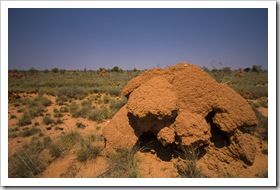 Back to the land of giant termite mounds...