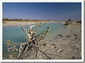 Cootenbrand Creek at Cape Keraudren