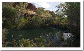 Swimming in Fern Pool in Dales Gorge