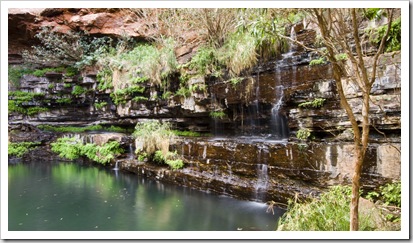 The ferns and waterfall surrounding Circular Pool in Dales Gorge