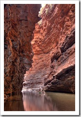 Lisa swimming in a large pool in Weano Gorge just before the trail turned to class six