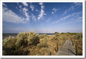 Boardwalk through the dunes in Onslow