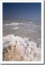 Salt crystals on the outskirts of Onslow