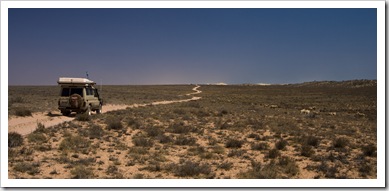 The arid expanse of Ningaloo Station with goats and sheep to the right