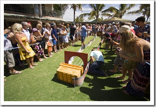 Crab races on Melbourne Cup Day at Ningaloo Reef Resort