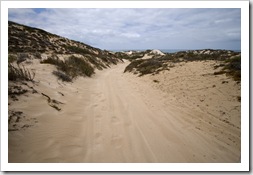 The sandy track on the way to Five Finger Reef that almost had us all walking back to Coral Bay!