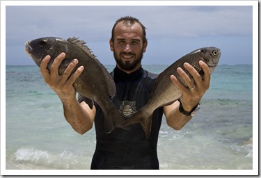 Spangled Emperor and a bream for dinner from Five Finger Reef