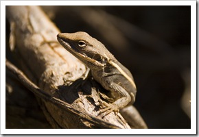 Kalbarri National Park