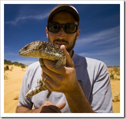 Sam and a lucky Shingleback Lizard in The Pinnacles Desert in Nambung National Park