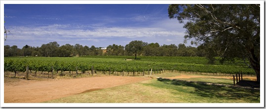 The beautiful setting at Upper Reach Winery