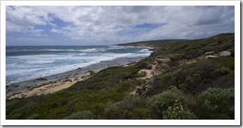 The coastline near Moses Rock