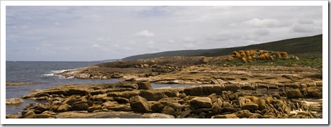 Looking north up the coast from Cape Leeuwin
