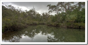 Chapman Pool in Blackwood Conservation Park