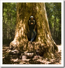 Sam in the 'Walk Through Karri' in Beedelup National Park