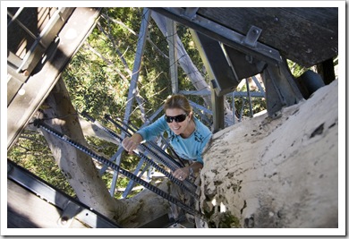 Lisa climbing the Gloucester Tree in Gloucester National Park