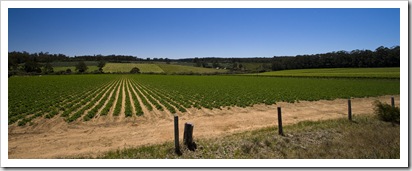 The beautiful rolling hills in the agricultural areas around Pemberton