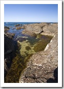 Tide pools at Windy Harbour