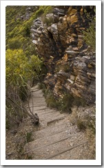 The trail to Bluff Knoll