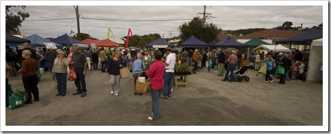 Albany Farmer's Market