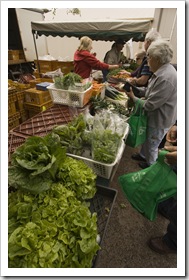 Fresh fruit and vegetables at the Albany Farmer's Market